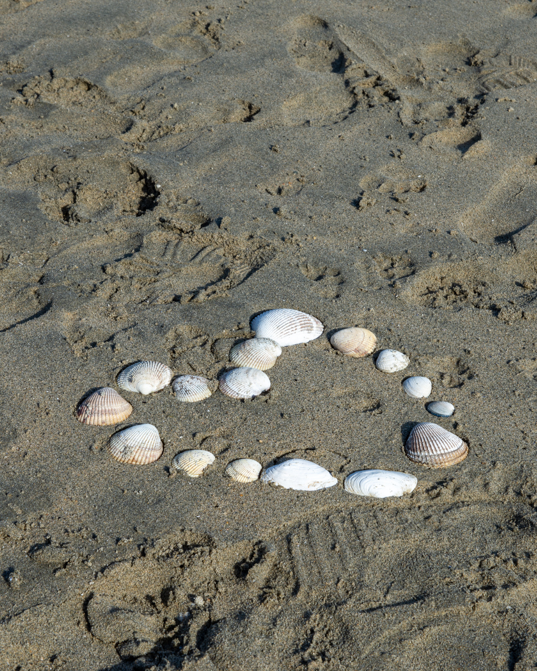 A heart made of sea shells in the sand